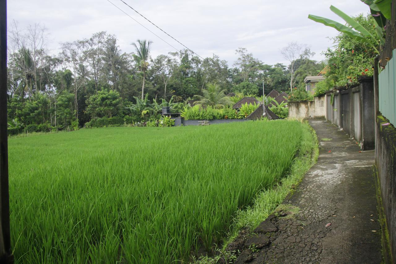 Ratna Villa 4 Ubud Exteriör bild